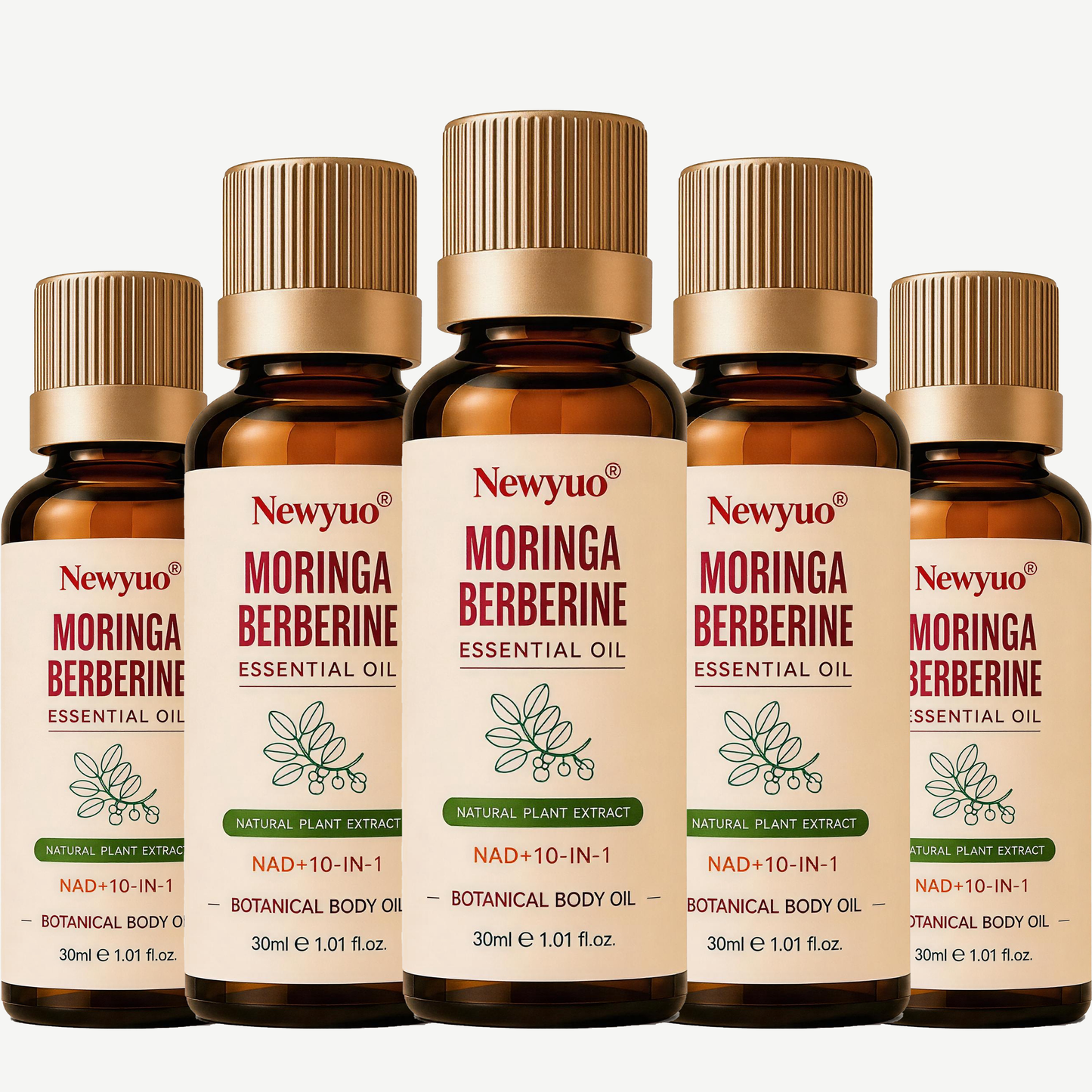 DAILY SUPPORT ESSENTIAL OIL