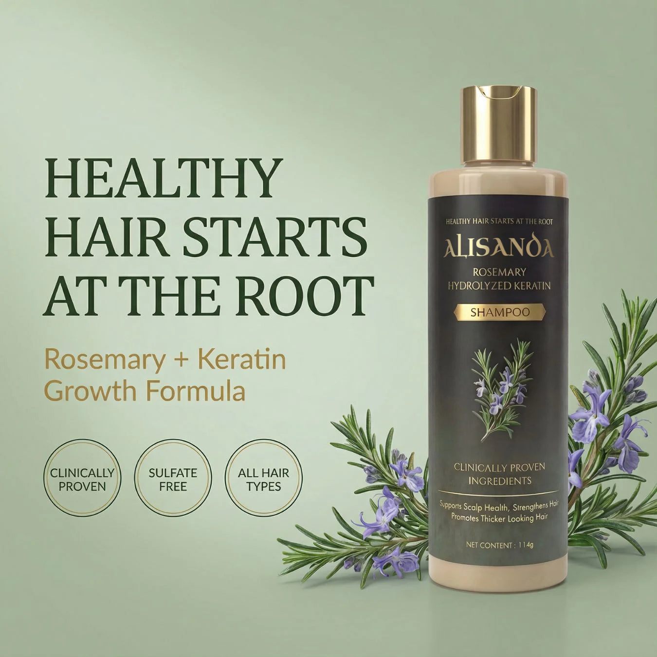 Alisanda® Rosemary Shampoo – Now Upgraded for Superior Hair Growth!