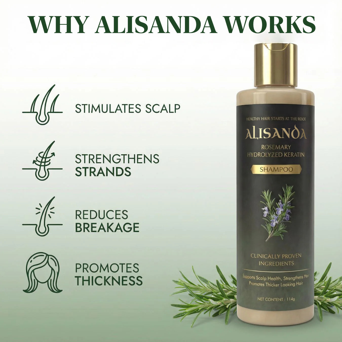 Alisanda® Rosemary Shampoo – Now Upgraded for Superior Hair Growth!