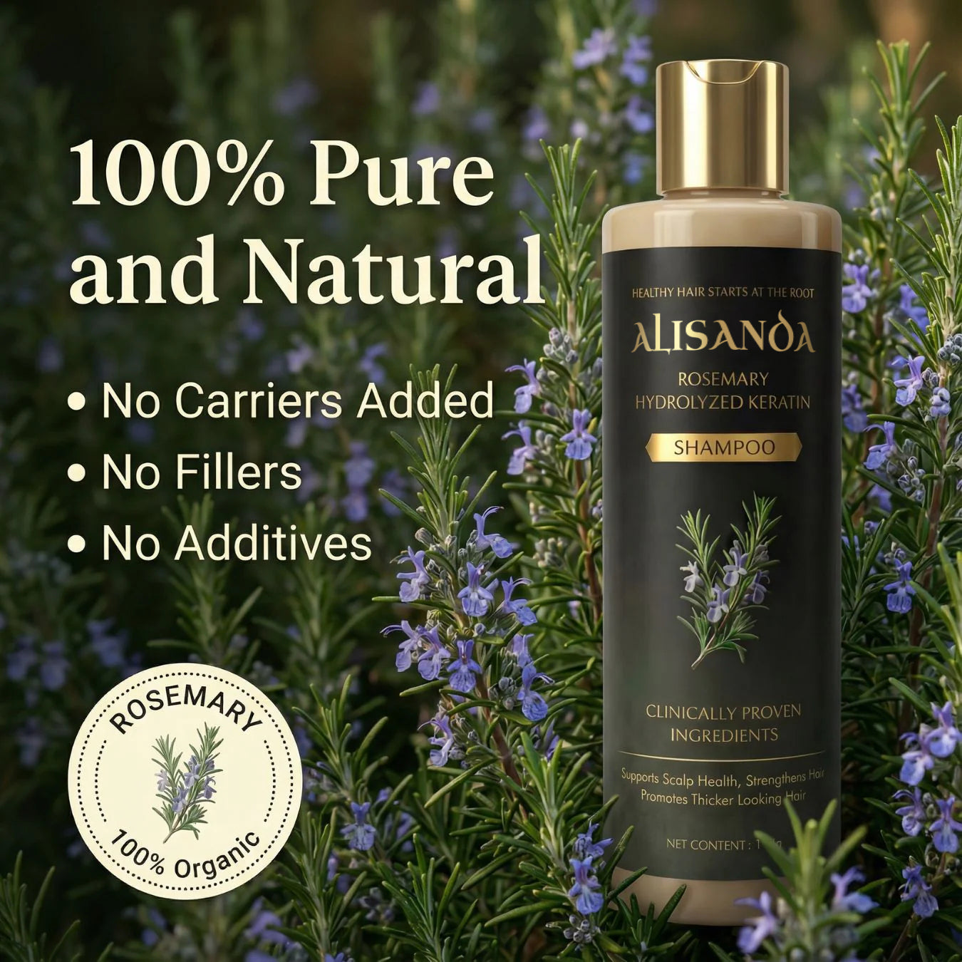 Alisanda® Rosemary Shampoo – Now Upgraded for Superior Hair Growth!