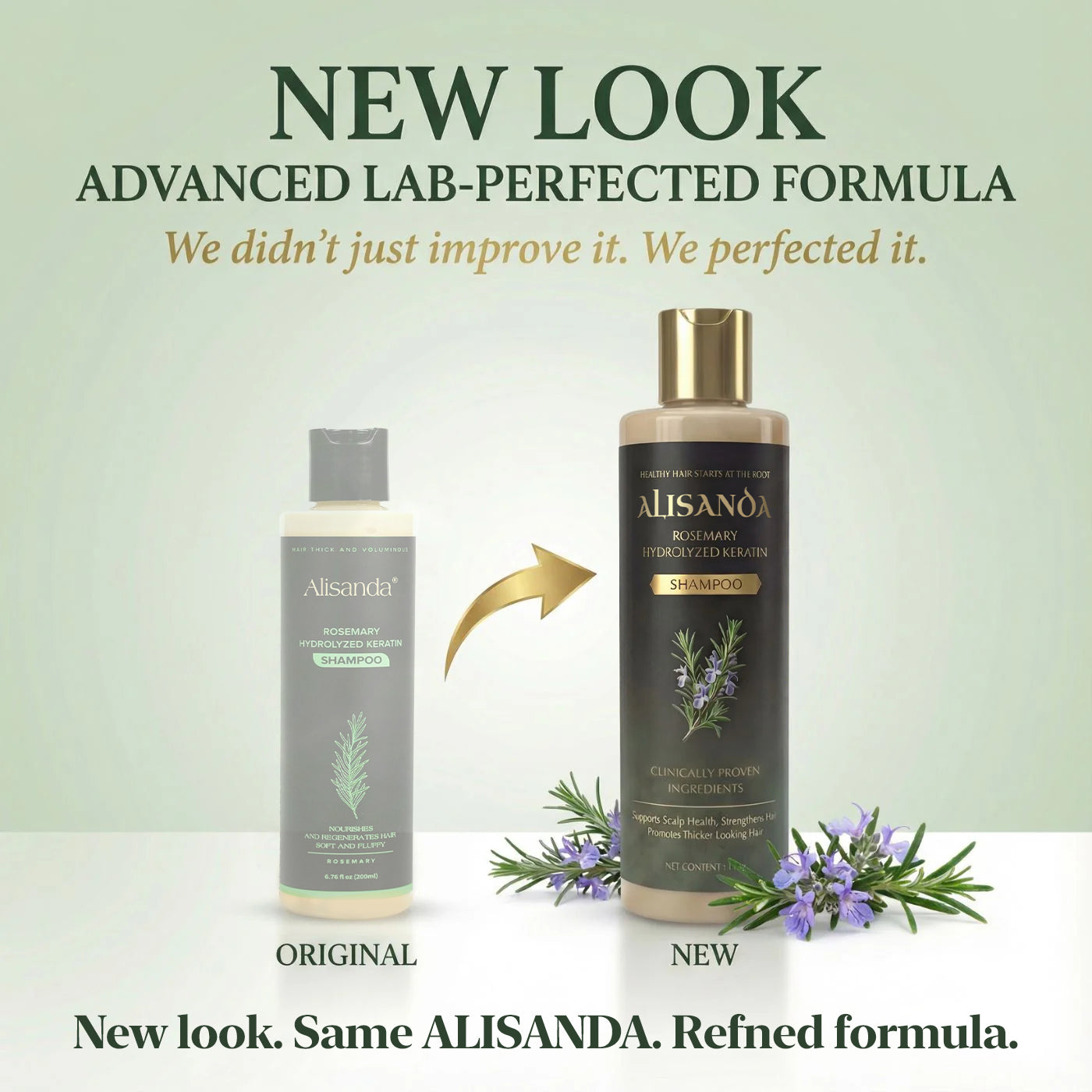 Alisanda® Rosemary Shampoo – Now Upgraded for Superior Hair Growth!
